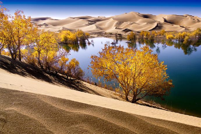 新疆，多元融合之魅力所在